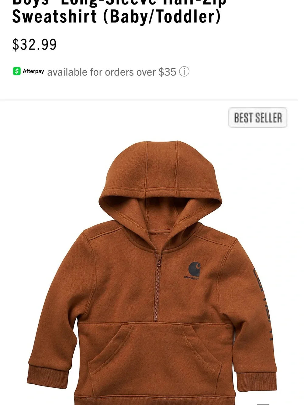 Carhartt Kids' Hooded Sweatshirt in Brown